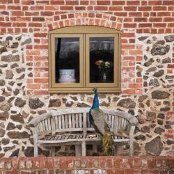 The Window Exchange: Residence 9